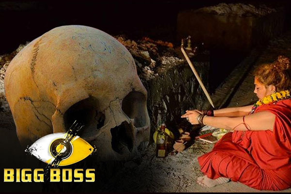 ShivaniDurga8