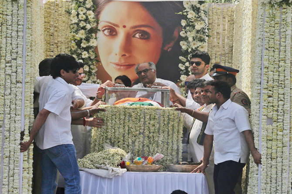 sridevi