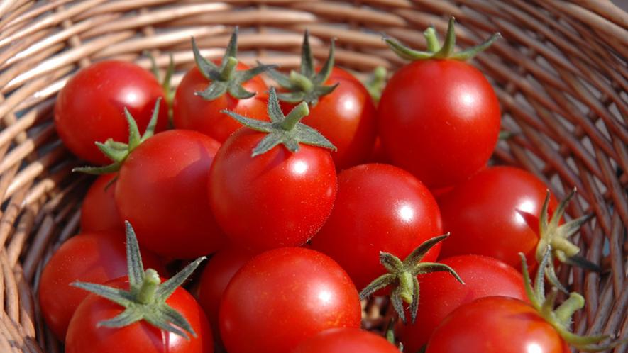 1561730173 tomato