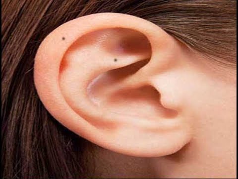 1561886161 ear