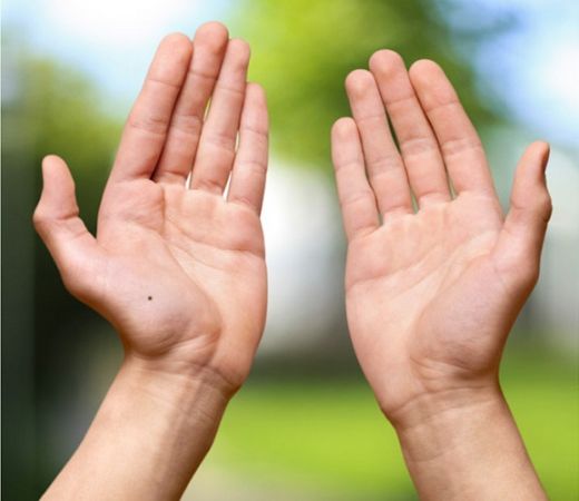 1561886888 hand