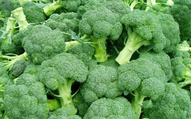 1568106778 broccoli 145173357181 650 010216045306
