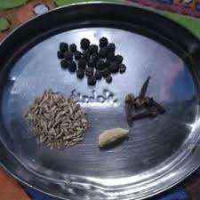 1569575591 species