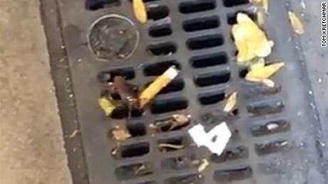 1571570981 cigarette cockroach