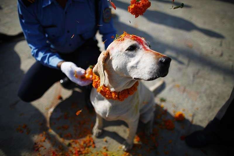 1571983613 nepal diwali
