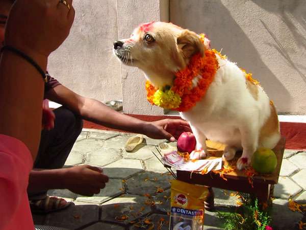 1571983677 diwali in nepal