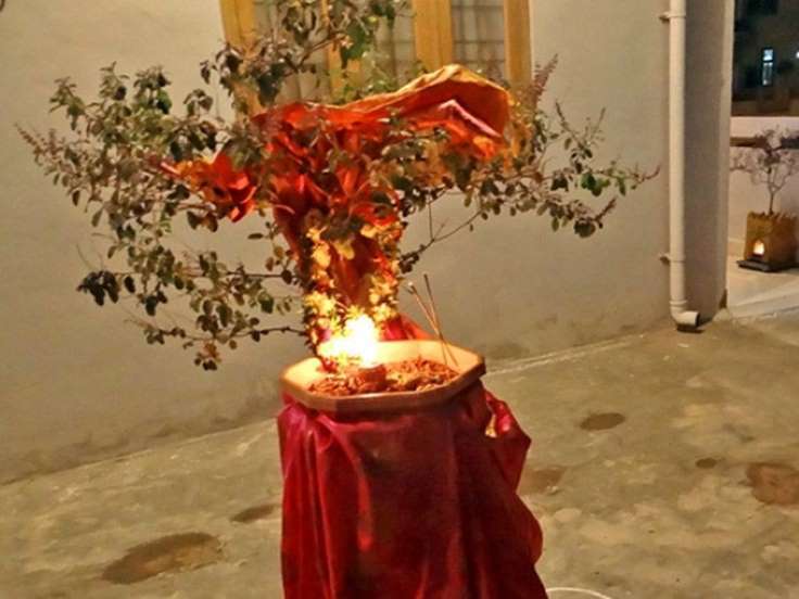 1573194513 tulsi vivah