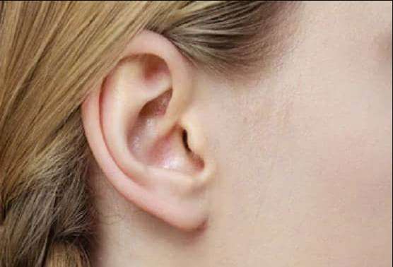 1573382147 ear