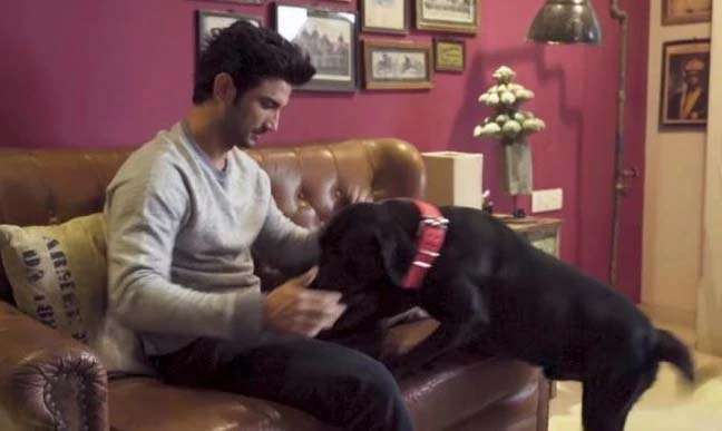 1598255824 susahnt dog fudge
