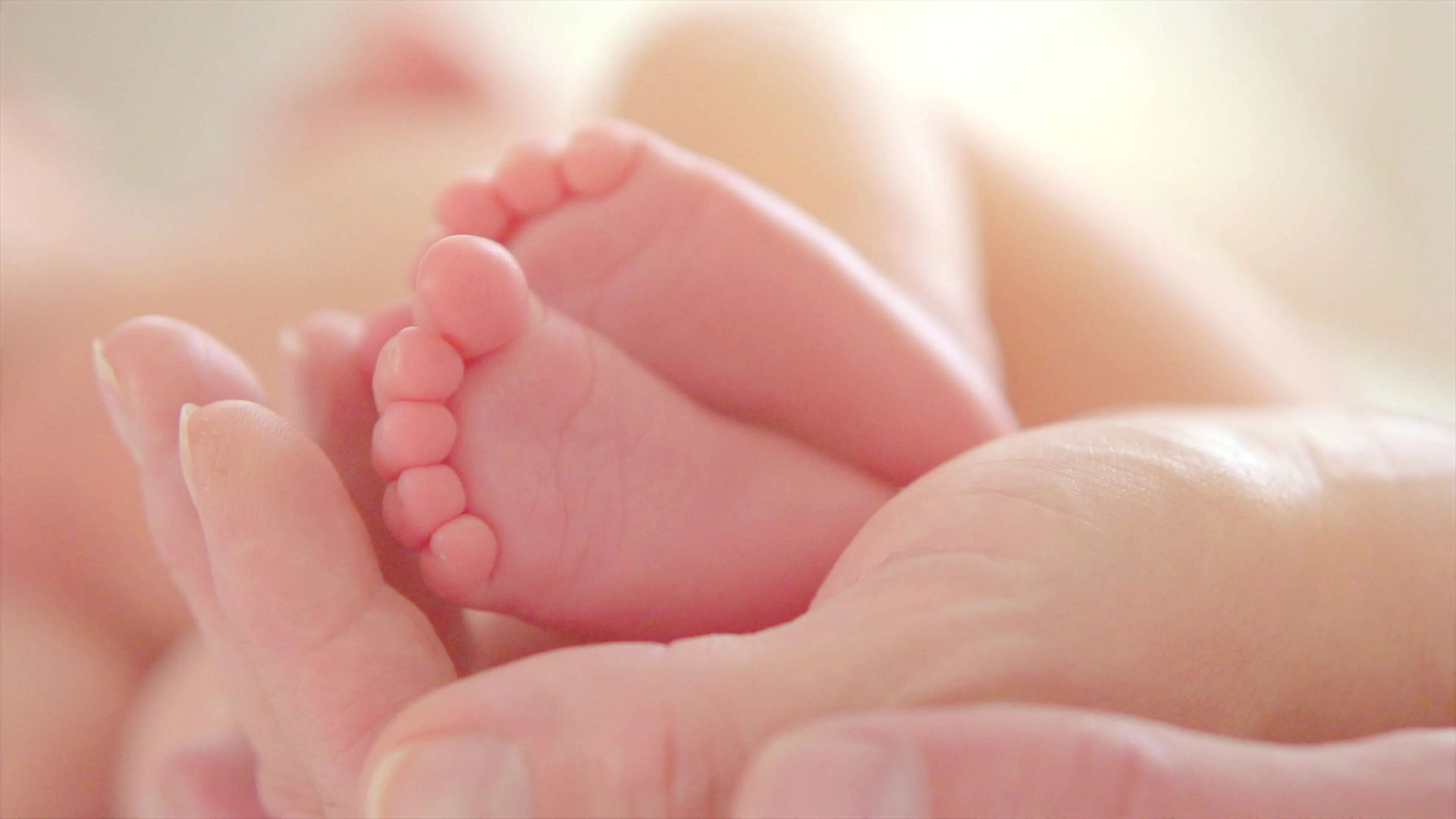 1676968084 baby feet parents hands tiny 090160217 prevstill