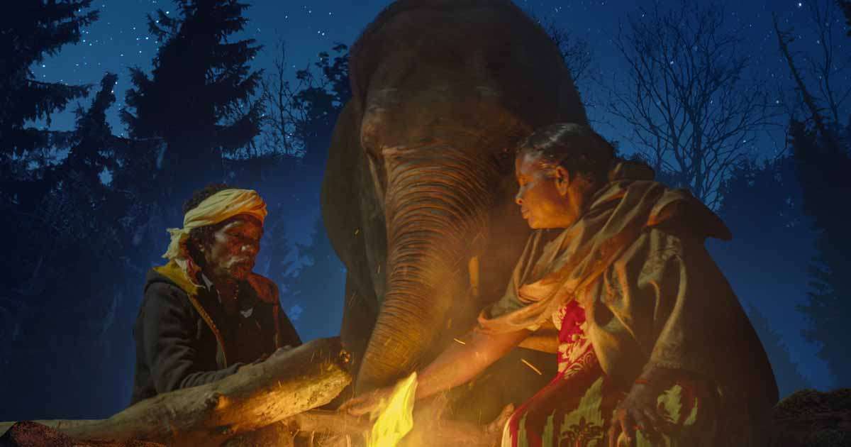 1678603983 95th oscar nominations the elephant whisperer makes it to short film list 001