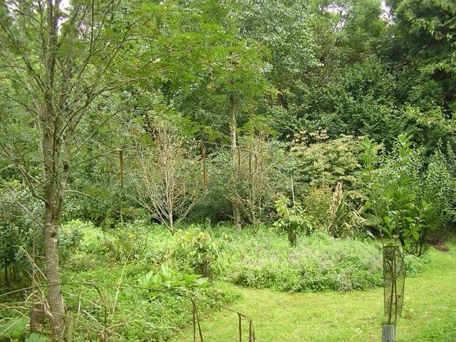 1683544325 blogger image 1286626954