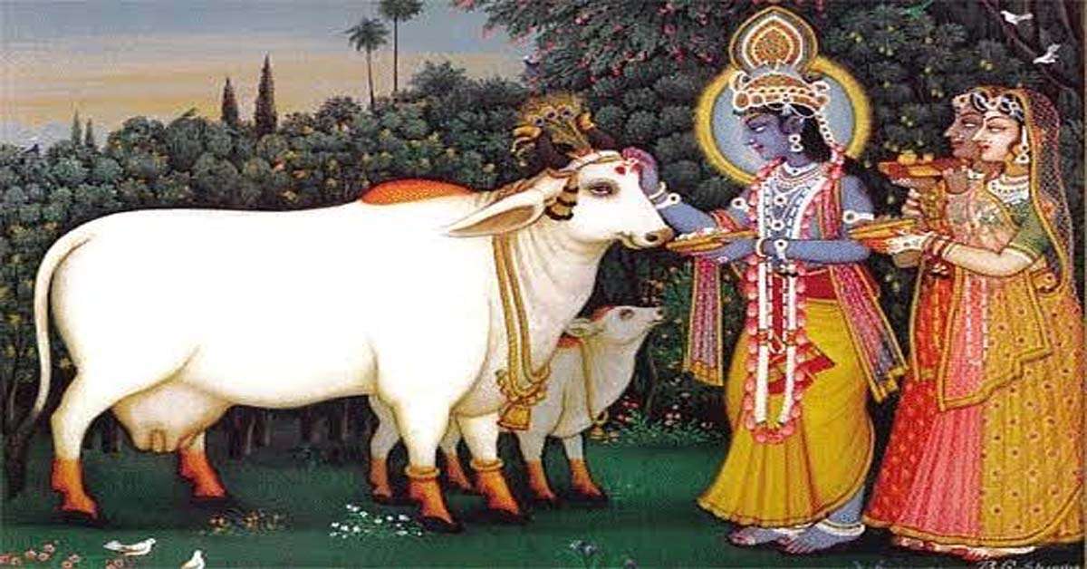 1683549098 cow3
