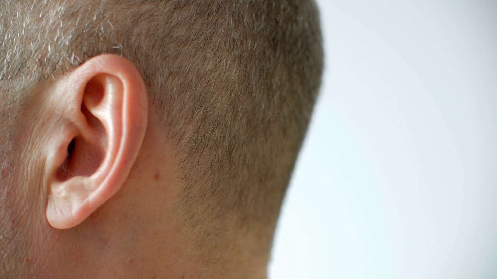 1686564387 videoblocks close up man moving ear male left ear profile view human hearing organs human body part head anatomy s ewalfdqu thumbnail 1080 01