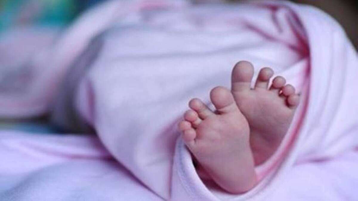 1686721122 babyboy 281 29