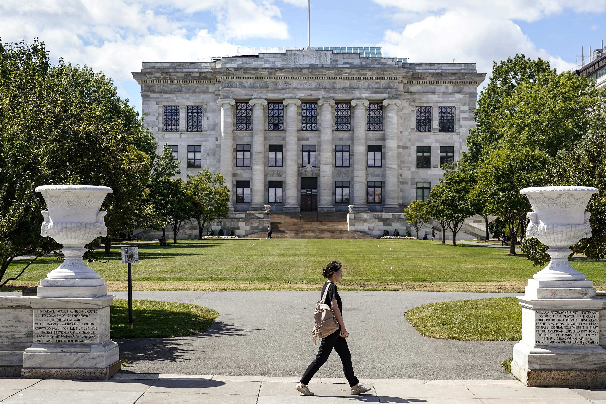1686901336 230614 harvard medical school ew 336p 59278c 1245cb382c32841b81632553da4fd7290fb87672