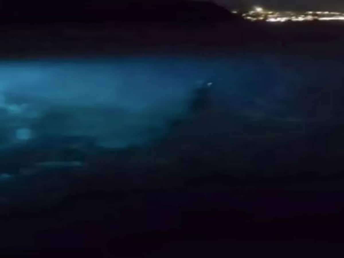 1687851220 mermaid on camera 1