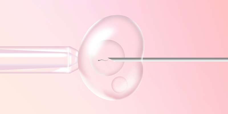 1687879234 do and dont ivf oasis blog