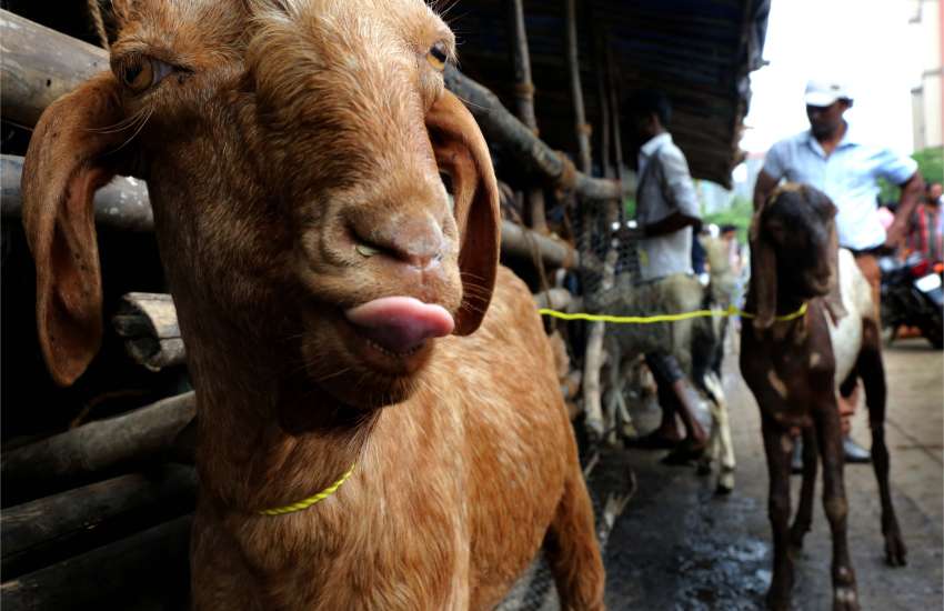1687937377 bakri id