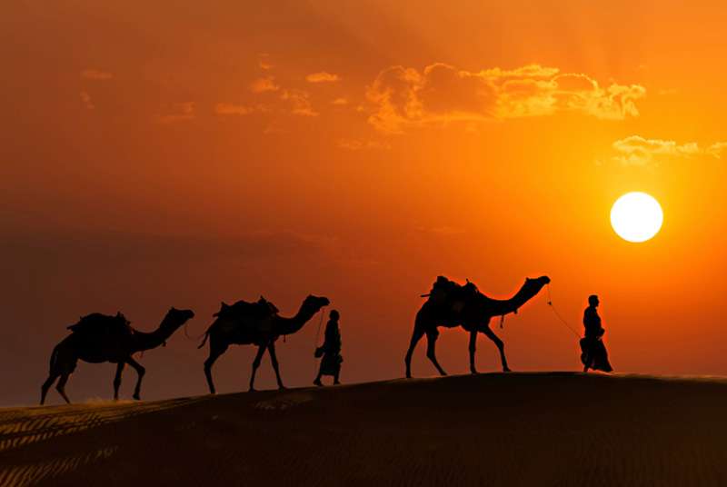1688014449 rajasthan