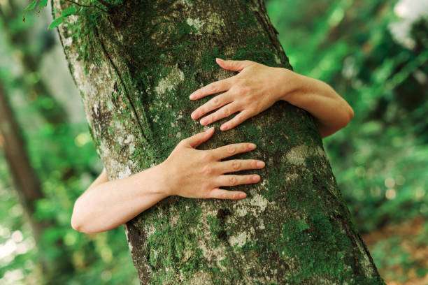 1688020905 environmentalist tree hugger is hugging wood trunk in forest
