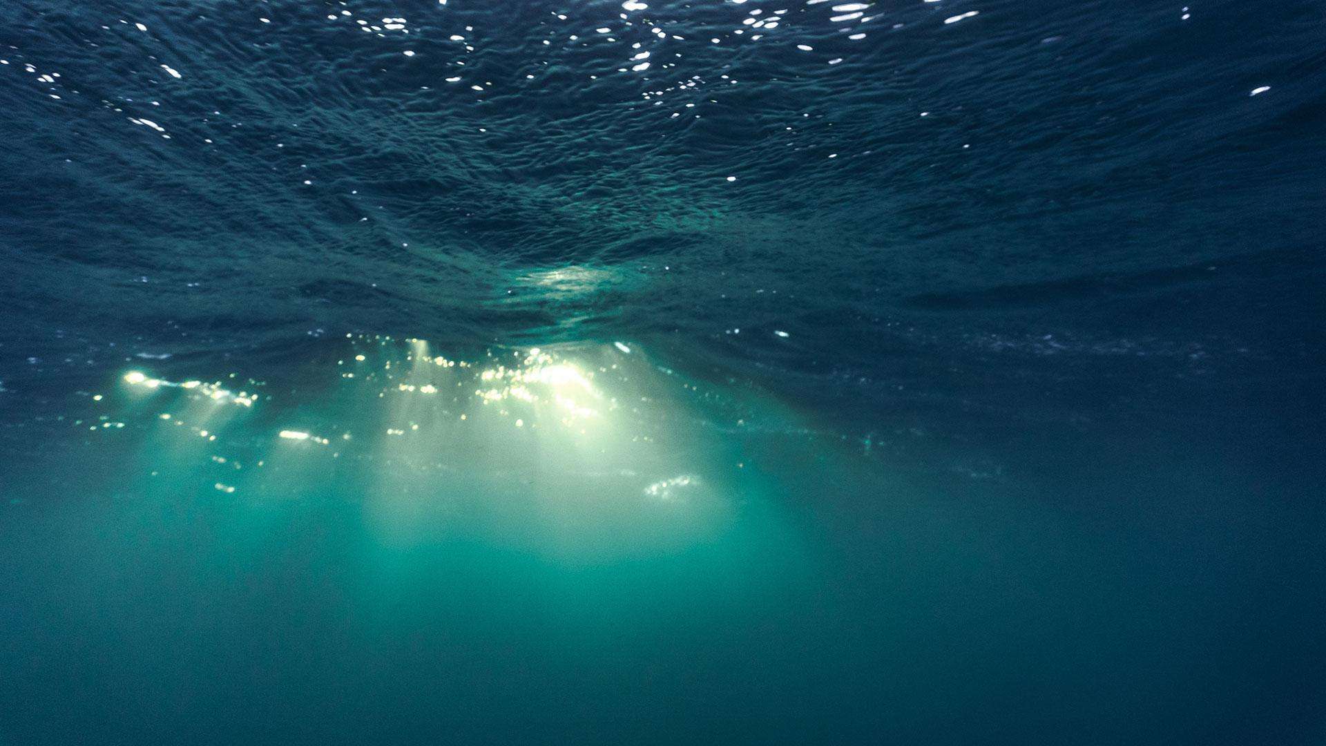 1688103890 sunlight through ocean surface aspot adobestock
