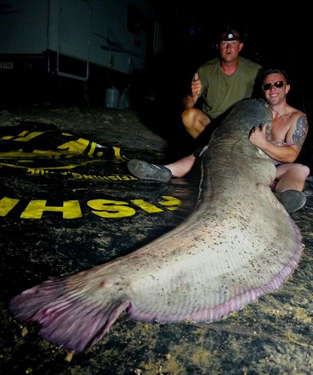 1688187490 0 swns big catch 02