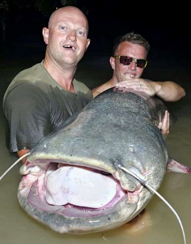 1688187519 0 swns big catch 03