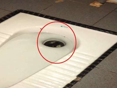 1688194372 snake indian style toilet 1