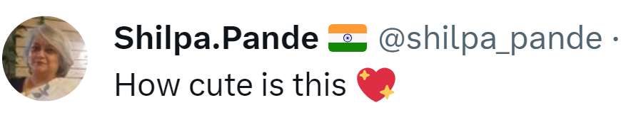 1688291138 screenshot 4