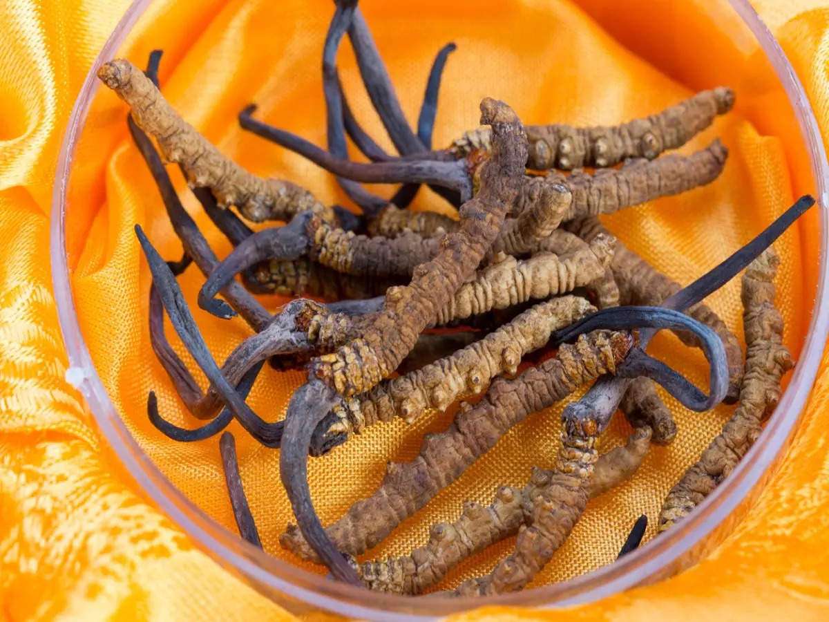 1688452104 himalayan viagra