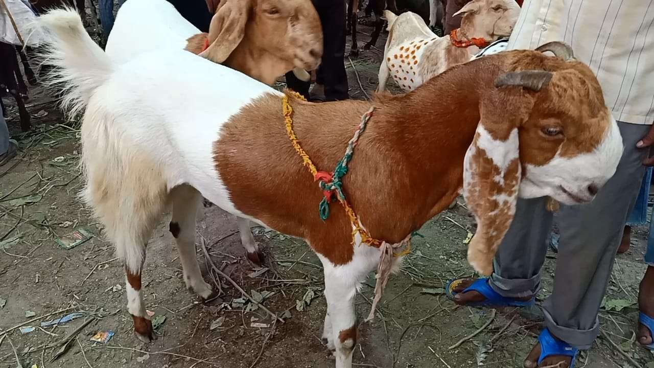 1688533076 eb824325 ce15 494a 8eec 86a3952c865f