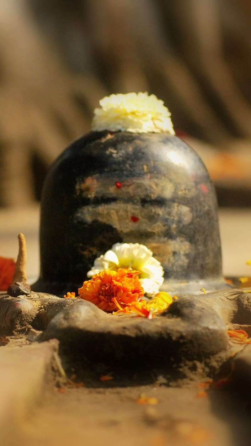 1689512013 hd wallpaper shivling with flower shivling flower god lord shiva mahadev bhakti