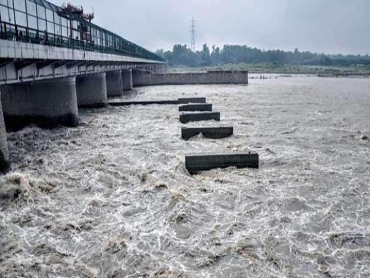 1689590921 delhi flood alert history of hathini kund barrage yamuna river water level rise flood news delhi ncr 1689241283