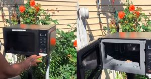 Woman Using Microwave As Mailbox
