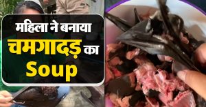 Bat soup viral video