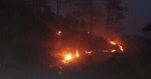 जम्मू-कश्मीर के रामनगर वन प्रभाग में लगी भीषण आग