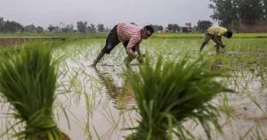 करनाल में मानसून की पहली बारिश, किसानों को हुआ फायदा