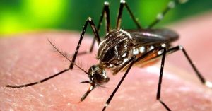 Dengue in Karnataka : कर्नाटक में डेंगू का कहर, बेंगलुरु में सात लोगों की मौत; स्वास्थ्य मंत्री दिनेश गुंडू राव ने जारी किए दिशा-निर्देश