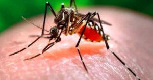 Zika Virus: पुणे में जीका वायरस का प्रकोप, दो गर्भवती महिलाएं हुई संक्रमित